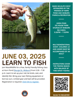 Learn to fish flyer