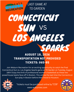 Suns vs sparks flyer