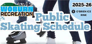 pub skate 25 26