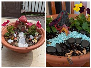 Fairy or dinosaur garden 