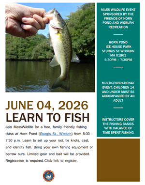 Learn to Fish 2026