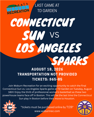 CT Sun vs LA Sparks Flyer