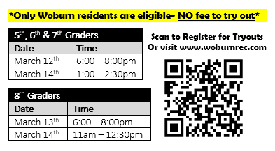 Travel Volleyball 2026